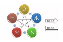 龙生肖，东方神秘力量的象征